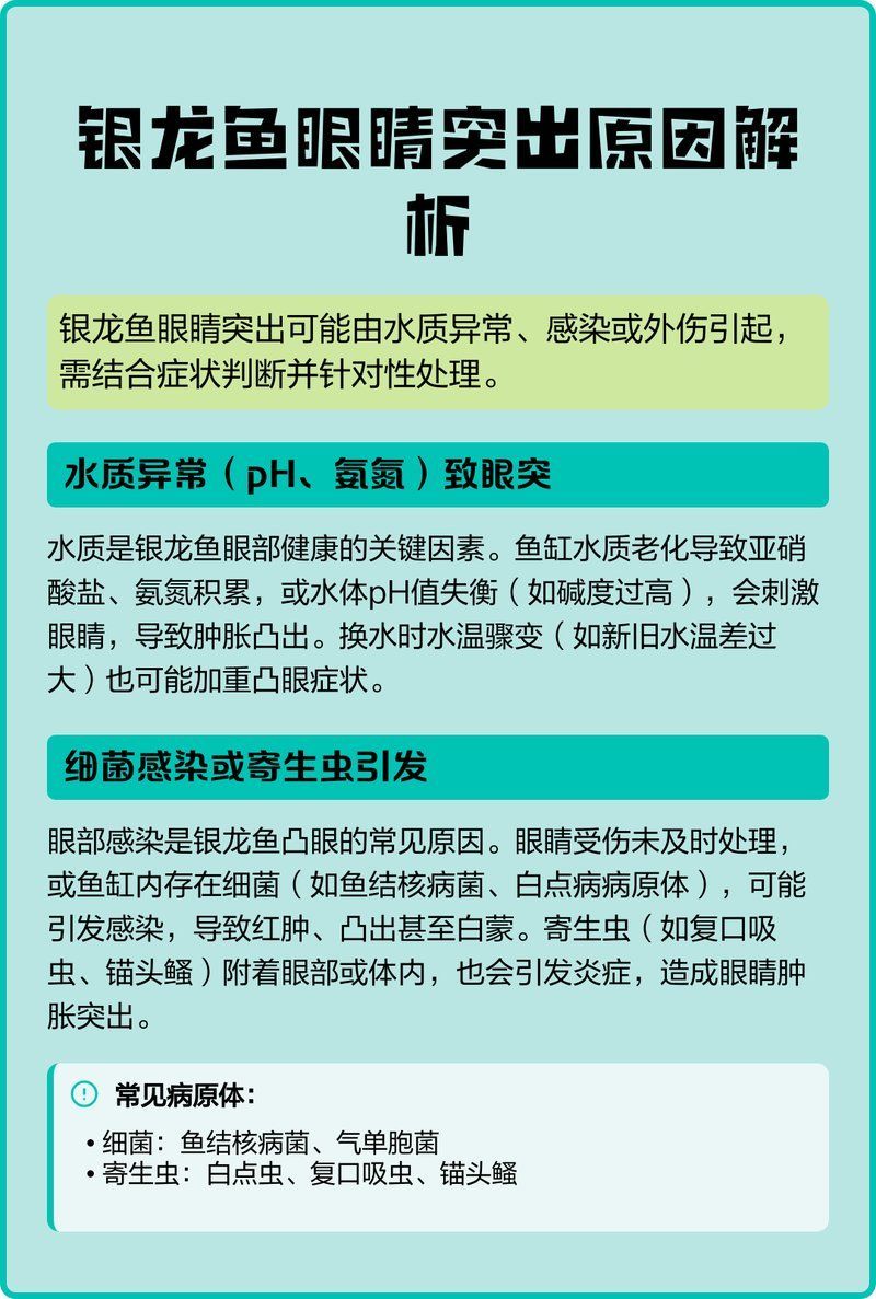 龍魚單眼凸出能自愈嗎，小魚兒天地，龍魚凸眼的原因及應(yīng)對方法 龍魚單眼凸出能自愈嗎，小魚兒天地，龍魚凸眼的原因及應(yīng)對方法 龍魚百科 第1張