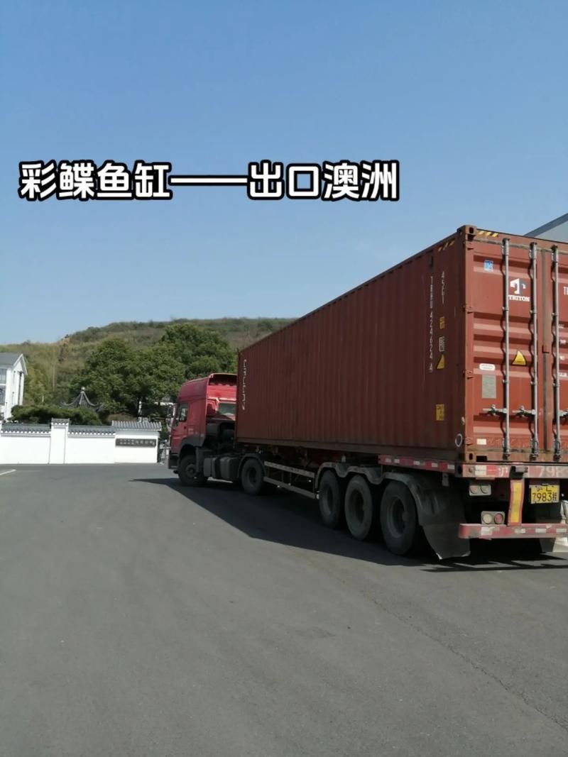 彩鰈品牌龍魚缸有哪些系列？，彩鰈品牌龍魚缸系列