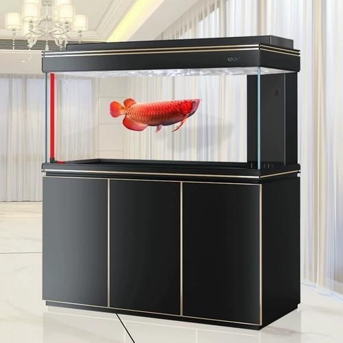 彩鰈品牌龍魚缸有哪些系列？，彩鰈品牌龍魚缸系列