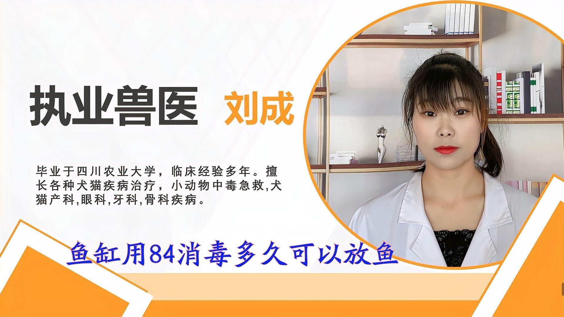 魚缸消毒后多久可以放新魚，新魚入缸前的消毒與適應(yīng)流程 魚缸消毒后多久可以放新魚，新魚入缸前的消毒與適應(yīng)流程 龍魚百科