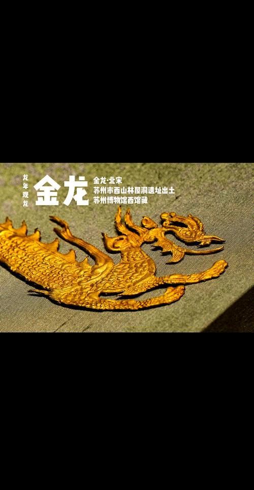 給我一些古典金龍的文物圖片，古典金龍文物圖片 給我一些古典金龍的文物圖片，古典金龍文物圖片 龍魚百科 第11張