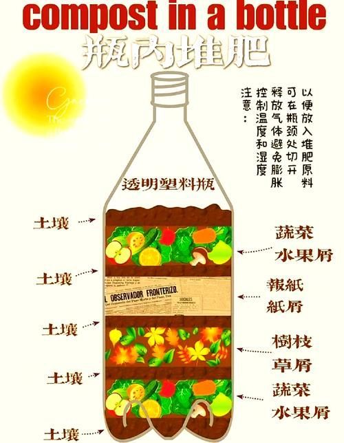 如何減少家庭垃圾的產生量，家庭垃圾減量策略 如何減少家庭垃圾的產生量，家庭垃圾減量策略 龍魚百科 第1張