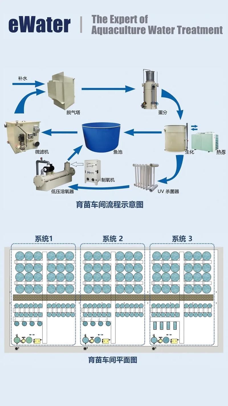 正規魚場應該有哪些環保措施？，正規魚場環保措施 正規魚場應該有哪些環保措施？，正規魚場環保措施 龍魚百科 第6張