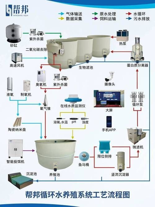 正規魚場應該有哪些環保措施？，正規魚場環保措施 正規魚場應該有哪些環保措施？，正規魚場環保措施 龍魚百科 第9張