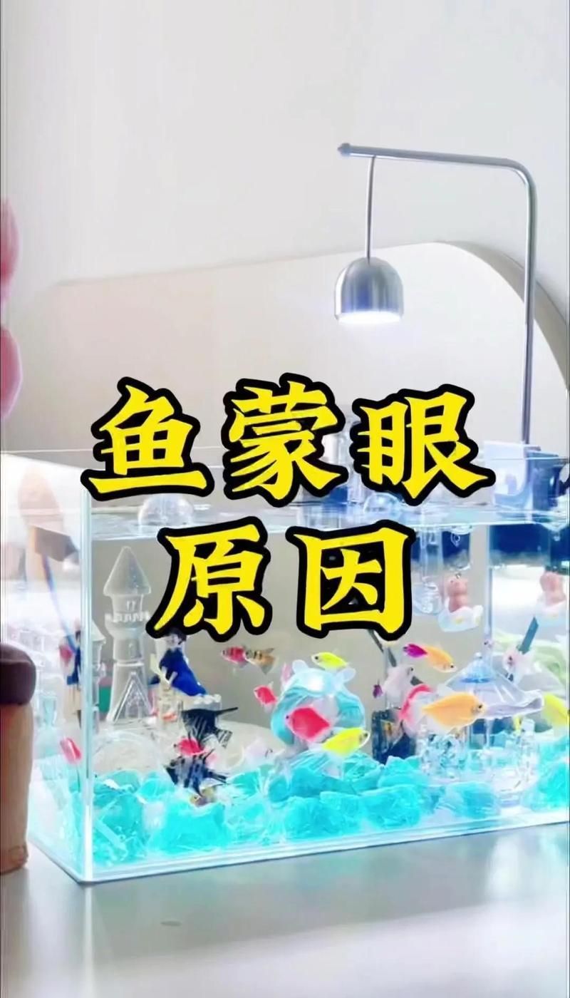 龍魚蒙眼癥能自愈嗎，魚蒙眼:內外蒙眼的成因大揭秘 龍魚蒙眼癥能自愈嗎，魚蒙眼:內外蒙眼的成因大揭秘 龍魚百科 第1張