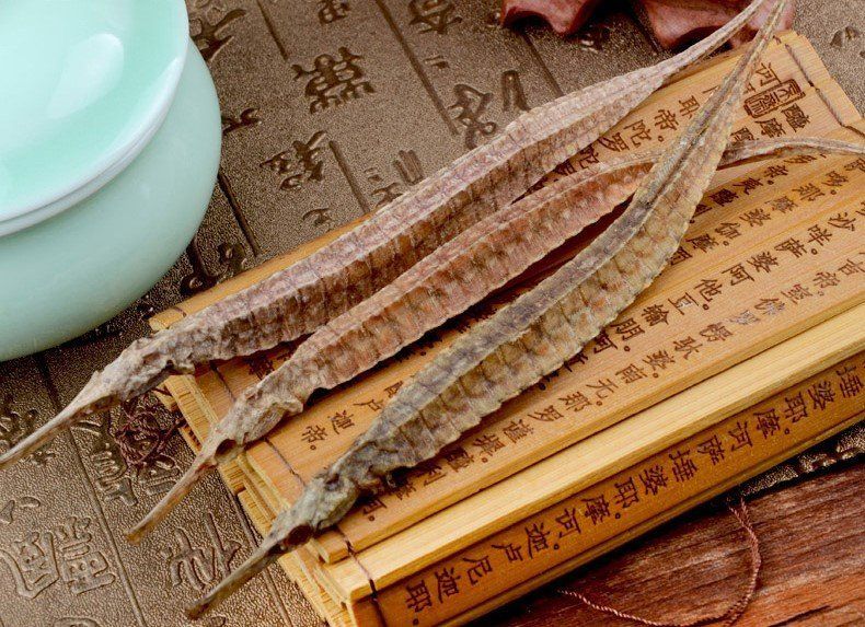 如何區分海龍與海馬的真偽，中國藥品鑒別——海馬 如何區分海龍與海馬的真偽，中國藥品鑒別——海馬 龍魚百科 第2張