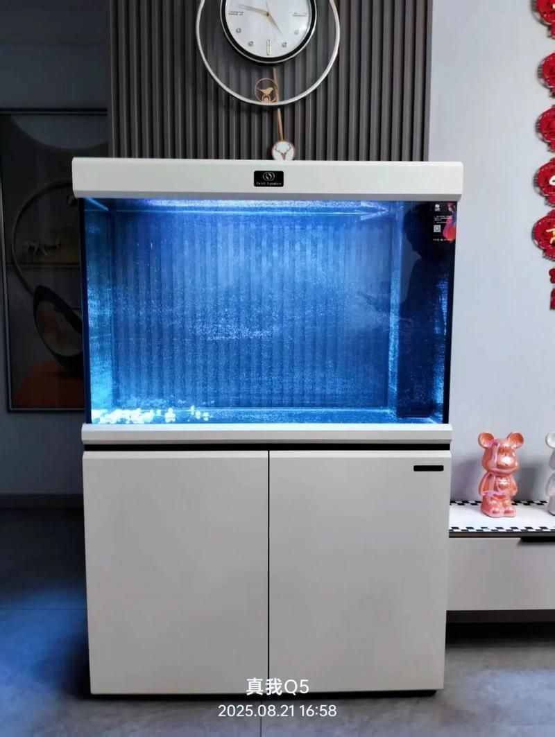 愛唯希魚缸的質量怎么樣？，愛唯希魚缸品牌優勢 愛唯希魚缸的質量怎么樣？，愛唯希魚缸品牌優勢 龍魚百科 第1張