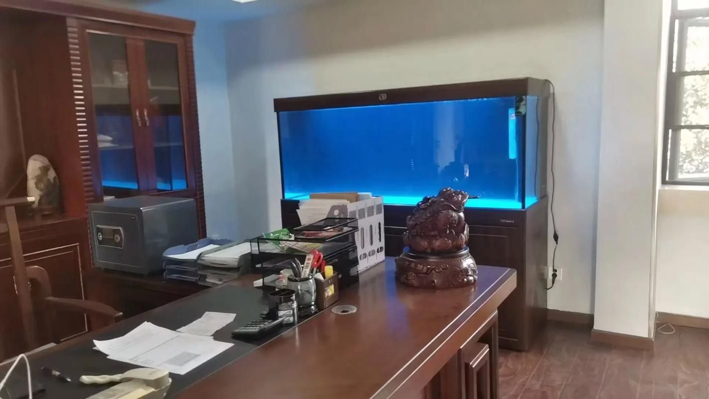 愛唯希魚缸的質量怎么樣？，愛唯希魚缸品牌優勢 愛唯希魚缸的質量怎么樣？，愛唯希魚缸品牌優勢 龍魚百科 第5張