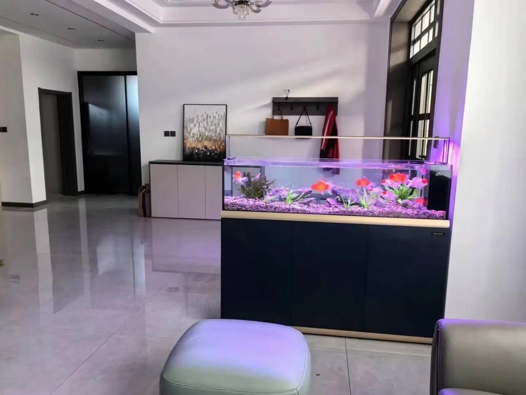 愛唯希魚缸的質量怎么樣？，愛唯希魚缸品牌優勢 愛唯希魚缸的質量怎么樣？，愛唯希魚缸品牌優勢 龍魚百科 第3張
