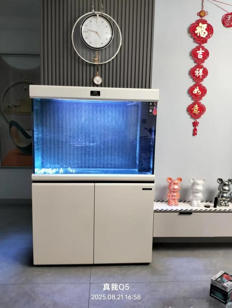 愛唯希魚缸的質量怎么樣？，愛唯希魚缸品牌優勢 愛唯希魚缸的質量怎么樣？，愛唯希魚缸品牌優勢 龍魚百科 第2張