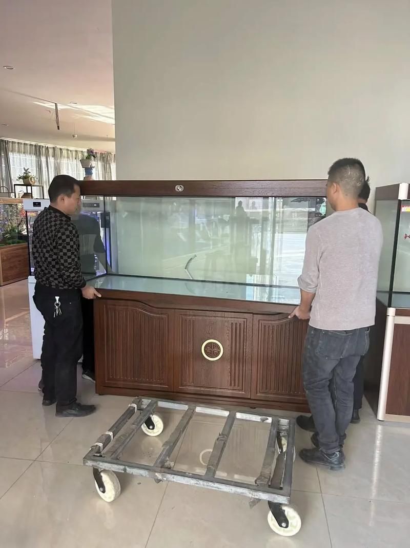 愛唯希魚缸的質量怎么樣？，愛唯希魚缸品牌優勢 愛唯希魚缸的質量怎么樣？，愛唯希魚缸品牌優勢 龍魚百科 第4張