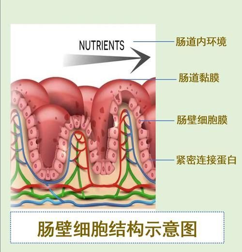 魚腸炎好轉(zhuǎn)后需要多久恢復(fù)健康,魚腸炎好轉(zhuǎn)后需要多久恢復(fù)健康因個(gè)體而異 龍魚百科 第1張 魚腸炎好轉(zhuǎn)后需要多久恢復(fù)健康,魚腸炎好轉(zhuǎn)后需要多久恢復(fù)健康因個(gè)體而異 魚腸炎好轉(zhuǎn)后需要多久恢復(fù)健康,魚腸炎好轉(zhuǎn)后需要多久恢復(fù)健康因個(gè)體而異 龍魚百科 第1張