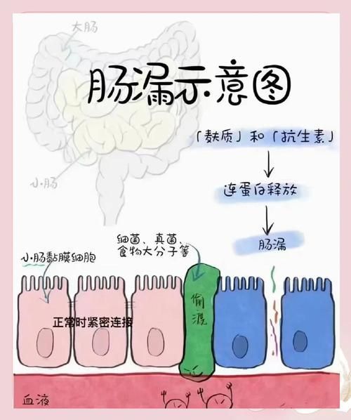 魚腸炎好轉(zhuǎn)后需要多久恢復(fù)健康,魚腸炎好轉(zhuǎn)后需要多久恢復(fù)健康因個(gè)體而異 龍魚百科 第2張 魚腸炎好轉(zhuǎn)后需要多久恢復(fù)健康,魚腸炎好轉(zhuǎn)后需要多久恢復(fù)健康因個(gè)體而異 魚腸炎好轉(zhuǎn)后需要多久恢復(fù)健康,魚腸炎好轉(zhuǎn)后需要多久恢復(fù)健康因個(gè)體而異 龍魚百科 第2張
