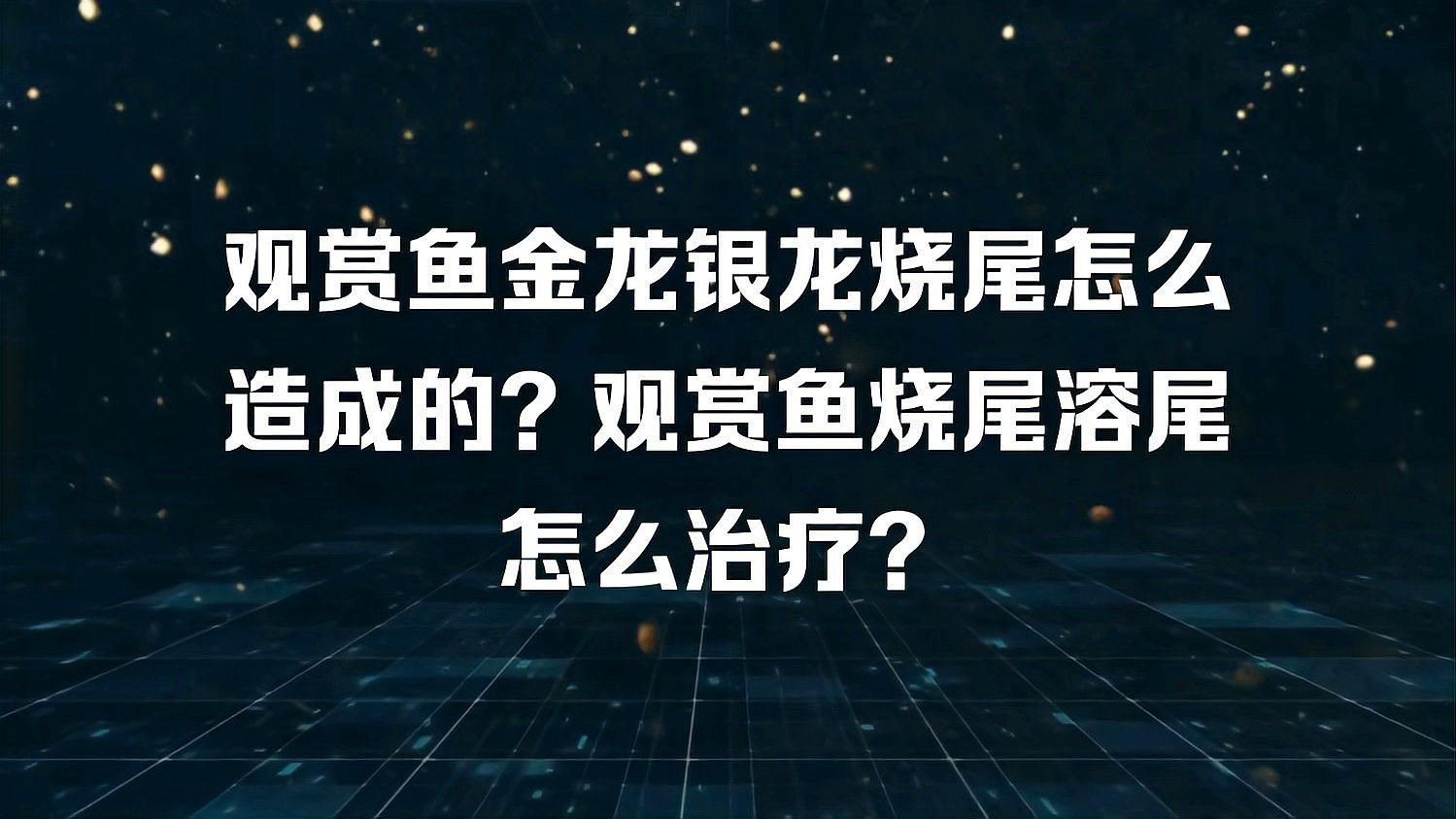 龍魚燒尾多久會自愈，金龍銀龍為什么會溶尾燒尾溶尾家庭護理checklist 龍魚燒尾多久會自愈，金龍銀龍為什么會溶尾燒尾溶尾家庭護理checklist 龍魚百科 第2張