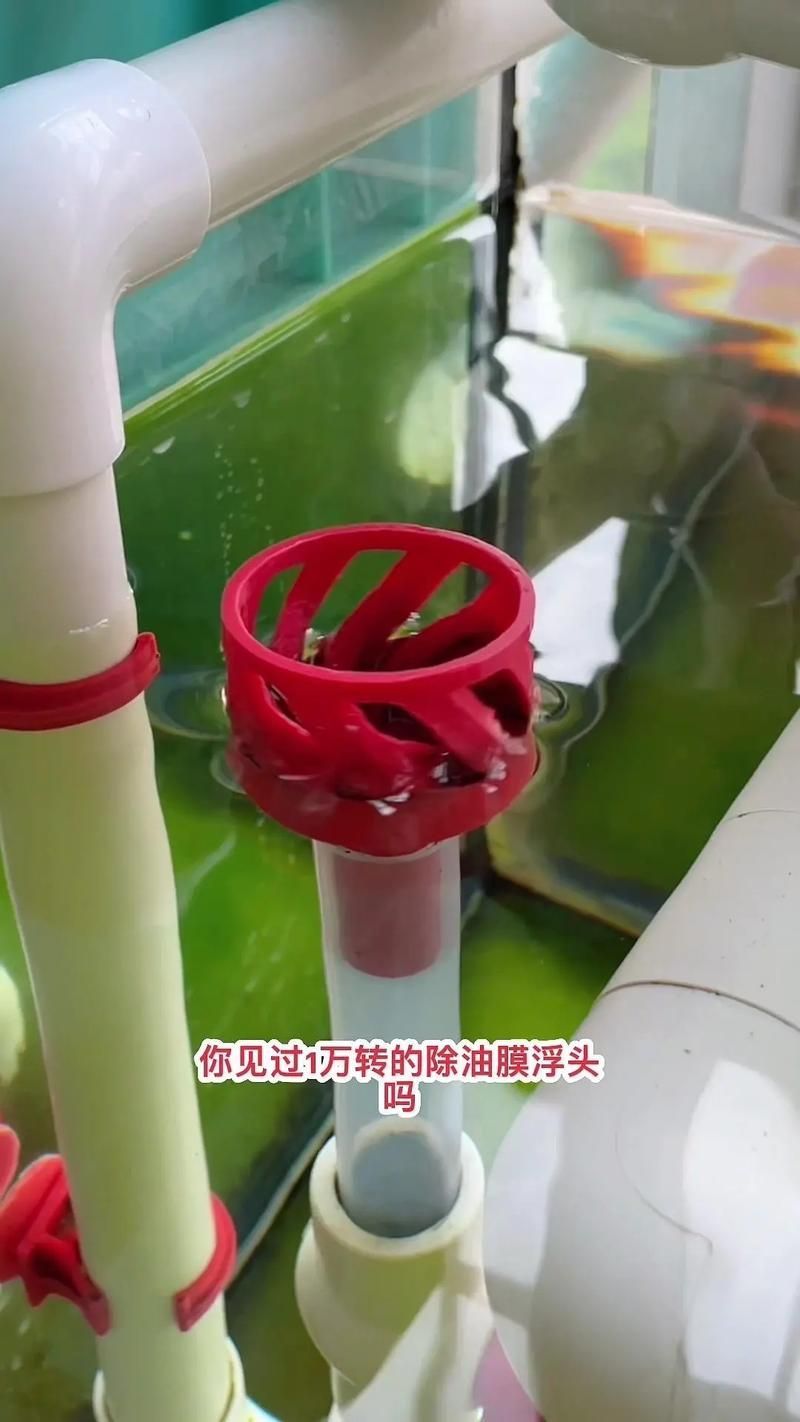 如何判斷一個(gè)魚缸的質(zhì)量好壞？，mcp魚缸質(zhì)量問題判斷一個(gè)魚缸質(zhì)量好壞 如何判斷一個(gè)魚缸的質(zhì)量好壞？，mcp魚缸質(zhì)量問題判斷一個(gè)魚缸質(zhì)量好壞 龍魚百科 第14張