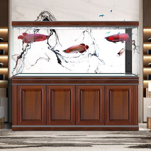 60厘米至80厘米的龍魚缸價格大概是多少？，60-80cm龍魚缸高性價比選購清單 60厘米至80厘米的龍魚缸價格大概是多少？，60-80cm龍魚缸高性價比選購清單 龍魚百科 第2張