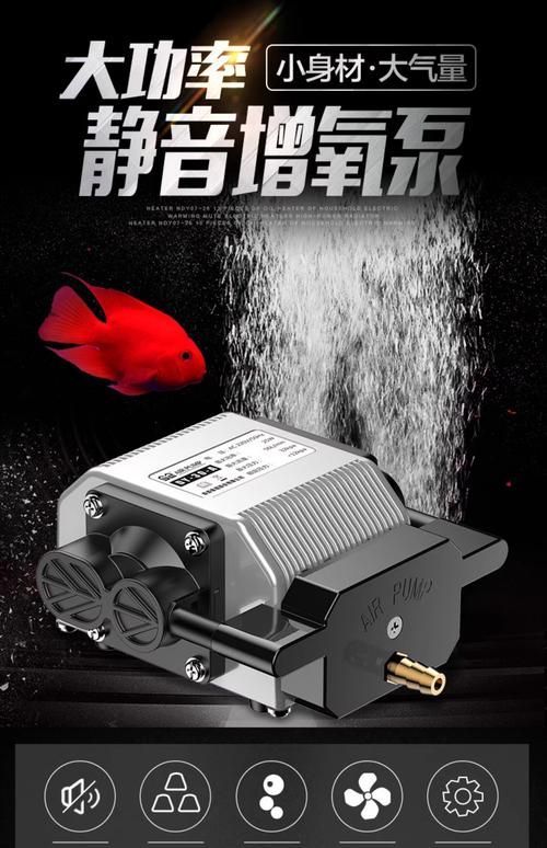 給我推薦幾款森森的明星產品,森森明星產品 龍魚百科 第7張 給我推薦幾款森森的明星產品,森森明星產品 給我推薦幾款森森的明星產品,森森明星產品 龍魚百科 第7張