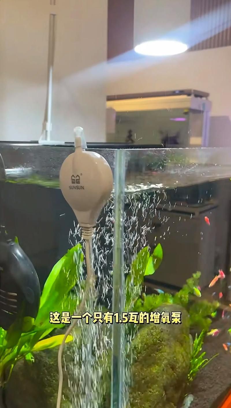 給我推薦幾款森森的明星產品,森森明星產品 龍魚百科 第12張 給我推薦幾款森森的明星產品,森森明星產品 給我推薦幾款森森的明星產品,森森明星產品 龍魚百科 第12張