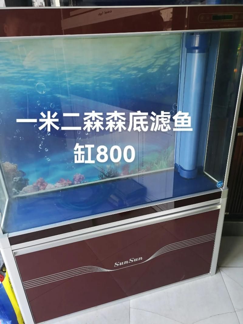 給我推薦幾款森森的明星產品,森森明星產品 龍魚百科 第15張 給我推薦幾款森森的明星產品,森森明星產品 給我推薦幾款森森的明星產品,森森明星產品 龍魚百科 第15張