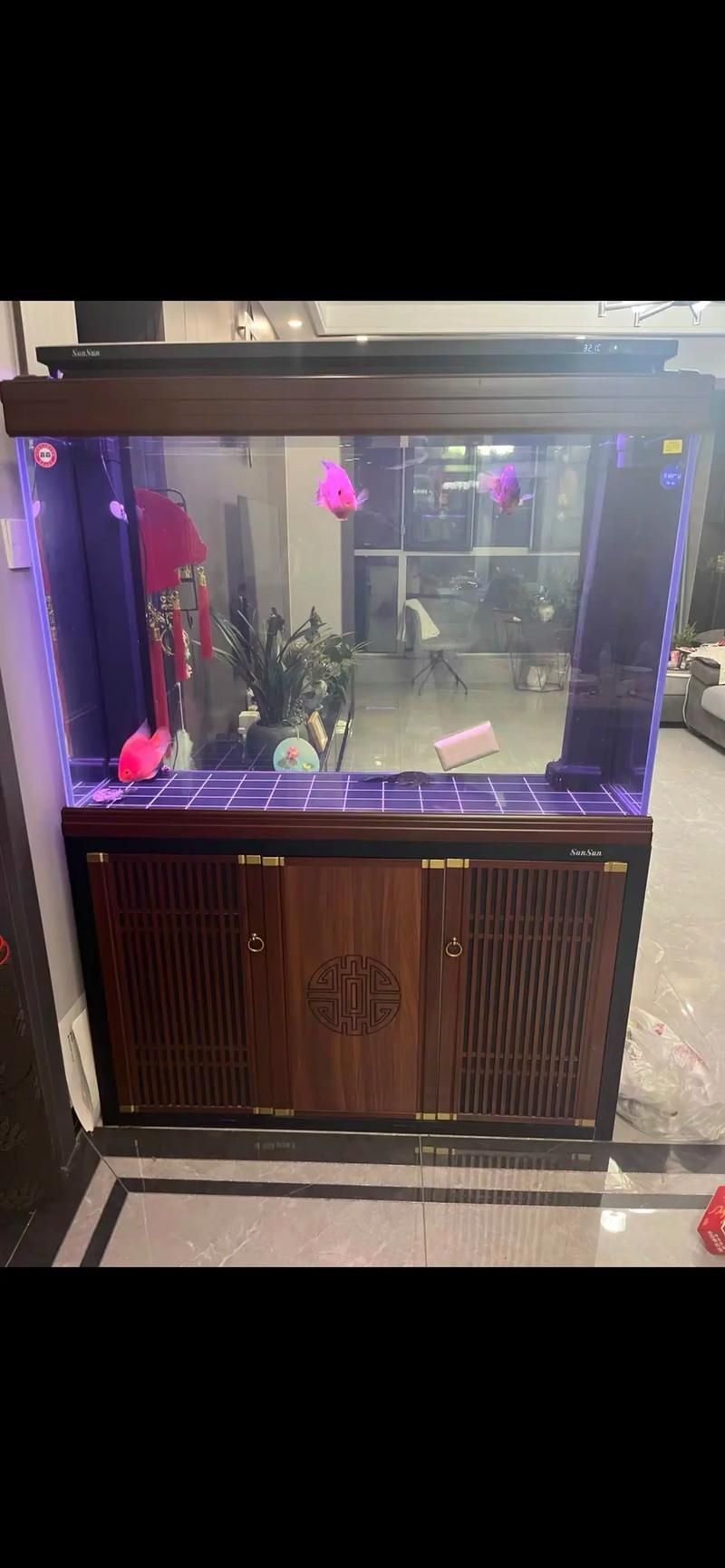 給我推薦幾款森森的明星產品,森森明星產品 龍魚百科 第16張 給我推薦幾款森森的明星產品,森森明星產品 給我推薦幾款森森的明星產品,森森明星產品 龍魚百科 第16張