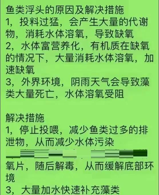 浮頭時如何緊急增氧 浮頭時如何緊急增氧 龍魚百科 第3張