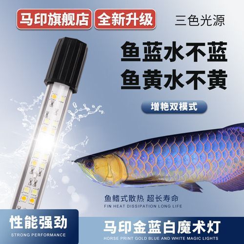 給我推薦幾款過背金龍專用LED燈，過背金龍魚專用led燈 給我推薦幾款過背金龍專用LED燈，過背金龍魚專用led燈 龍魚百科 第3張