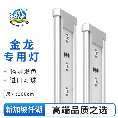 給我推薦幾款過背金龍專用LED燈，過背金龍魚專用led燈 給我推薦幾款過背金龍專用LED燈，過背金龍魚專用led燈 龍魚百科 第1張