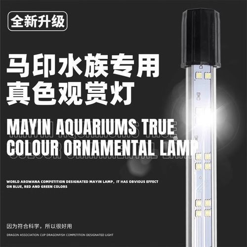 給我推薦幾款過背金龍專用LED燈，過背金龍魚專用led燈 給我推薦幾款過背金龍專用LED燈，過背金龍魚專用led燈 龍魚百科 第2張