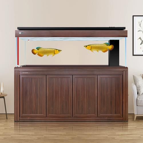有哪些龍魚魚缸品牌值得推薦？ 有哪些龍魚魚缸品牌值得推薦？ 龍魚百科 第17張