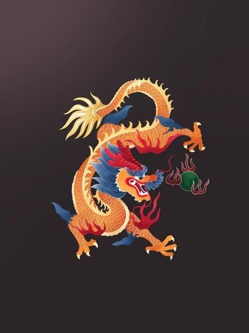 有沒有更多吉利的龍圖案，吉利龍圖案使用場景指南，幫你快速匹配不同場合的龍紋選擇 有沒有更多吉利的龍圖案，吉利龍圖案使用場景指南，幫你快速匹配不同場合的龍紋選擇 龍魚百科 第26張