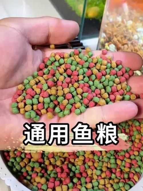 魚糧，mcp工具補充視覺素材（server_id:3）