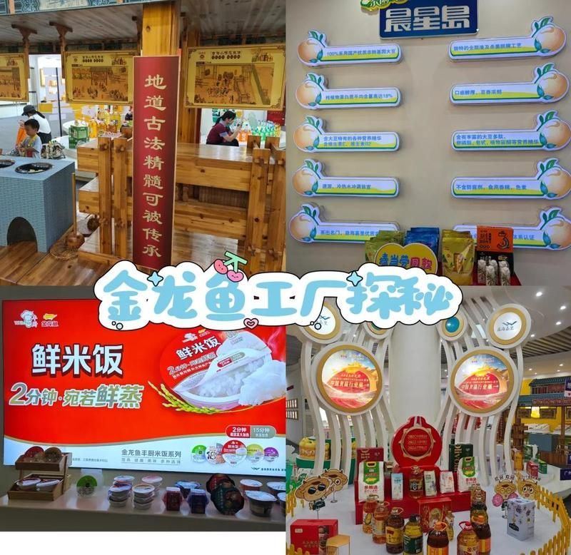 金龍魚(yú)基地有哪些參觀活動(dòng)，廣東金龍魚(yú)基地參觀活動(dòng) 金龍魚(yú)基地有哪些參觀活動(dòng)，廣東金龍魚(yú)基地參觀活動(dòng) 龍魚(yú)百科 第6張