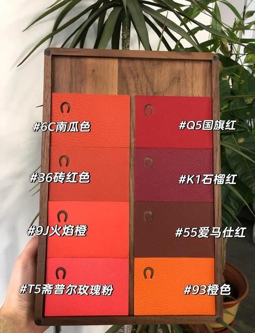 如何鑒別真假BTL紅龍魚，btl紅龍魚（borneotigerlabeo或labeo或labeo或labeo或半紅龍魚） 如何鑒別真假BTL紅龍魚，btl紅龍魚（borneotigerlabeo或labeo或labeo或labeo或半紅龍魚） 龍魚百科 第4張