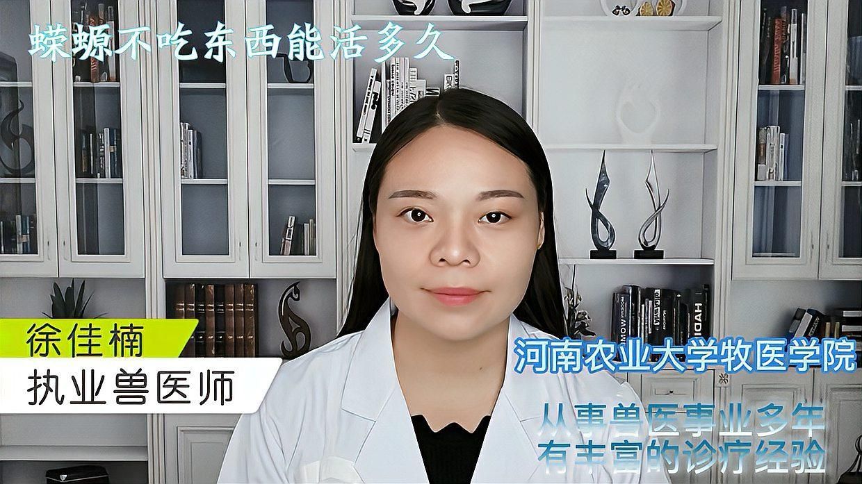 蠑螈多久不喂食會餓死，蠑螈不吃東西多久會餓死 蠑螈多久不喂食會餓死，蠑螈不吃東西多久會餓死 龍魚百科 第2張