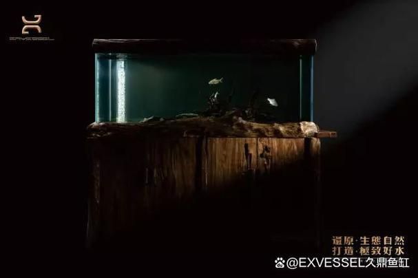 如何判斷久鼎龍魚缸的質(zhì)量？，久鼎魚缸選購(gòu)避坑指南