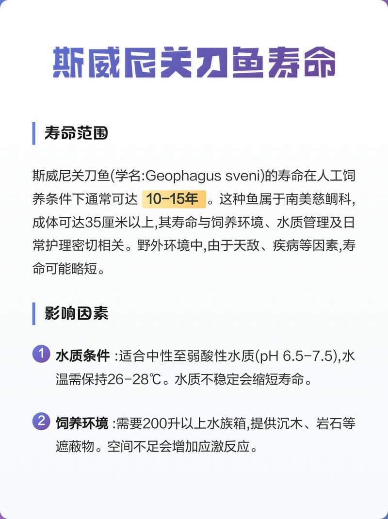 斯維尼關(guān)刀魚(yú)壽命有多長(zhǎng)？，斯維尼關(guān)刀魚(yú)的壽命 斯維尼關(guān)刀魚(yú)壽命有多長(zhǎng)？，斯維尼關(guān)刀魚(yú)的壽命 龍魚(yú)百科 第1張