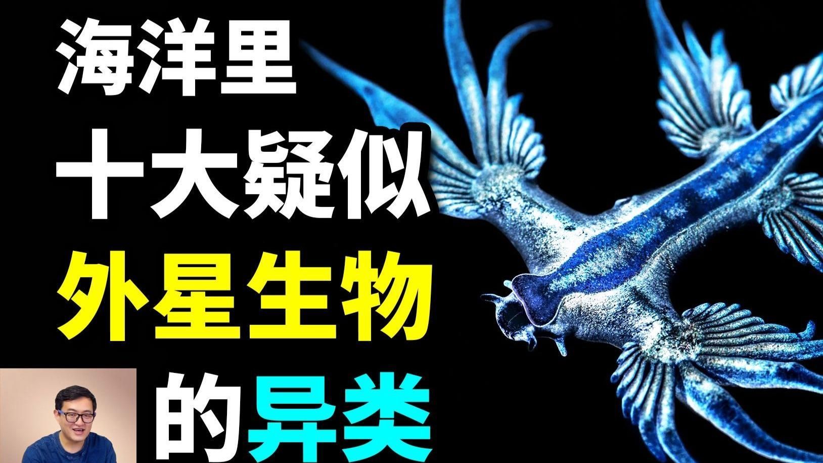 海洋不明生物中哪個最具有研究價值 海洋不明生物中哪個最具有研究價值 龍魚百科