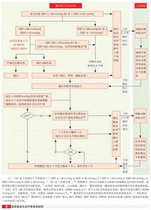 能否提供高血壓治療的詳細流程圖，壓治療的詳細流程圖如下：壓治療的詳細流程圖如下 能否提供高血壓治療的詳細流程圖，壓治療的詳細流程圖如下：壓治療的詳細流程圖如下 龍魚百科 第7張