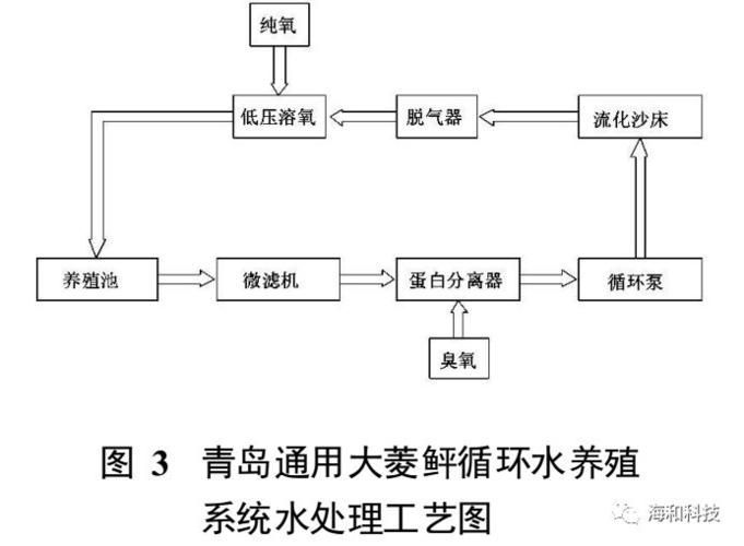 如何降低金龍魚養(yǎng)殖成本,如何降低金龍魚養(yǎng)殖的成本 龍魚百科 第12張 如何降低金龍魚養(yǎng)殖成本,如何降低金龍魚養(yǎng)殖的成本 如何降低金龍魚養(yǎng)殖成本,如何降低金龍魚養(yǎng)殖的成本 龍魚百科 第12張