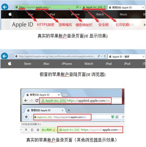 如何通過第三方平臺驗證官網真實性？，官網與釣魚網站的認證流程