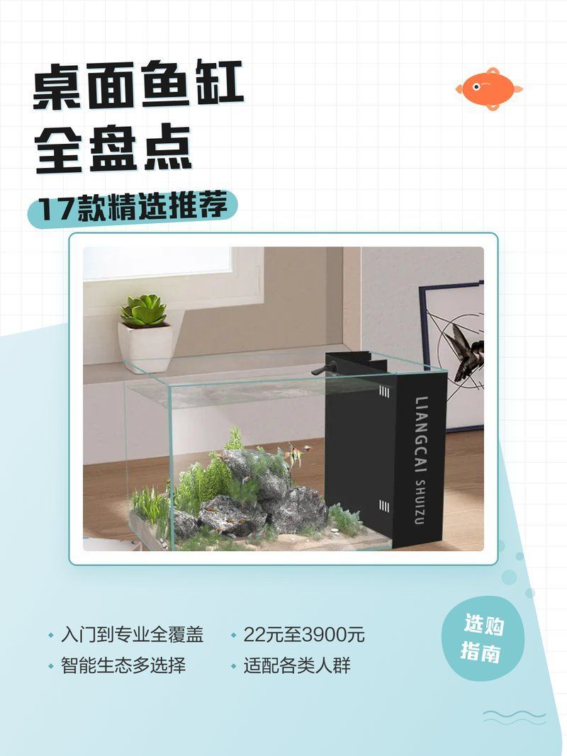 這幾款魚缸的價格范圍是多少？，家用魚缸價格因尺寸、材質、材質、功能等因素而異 這幾款魚缸的價格范圍是多少？，家用魚缸價格因尺寸、材質、材質、功能等因素而異 龍魚百科 第4張