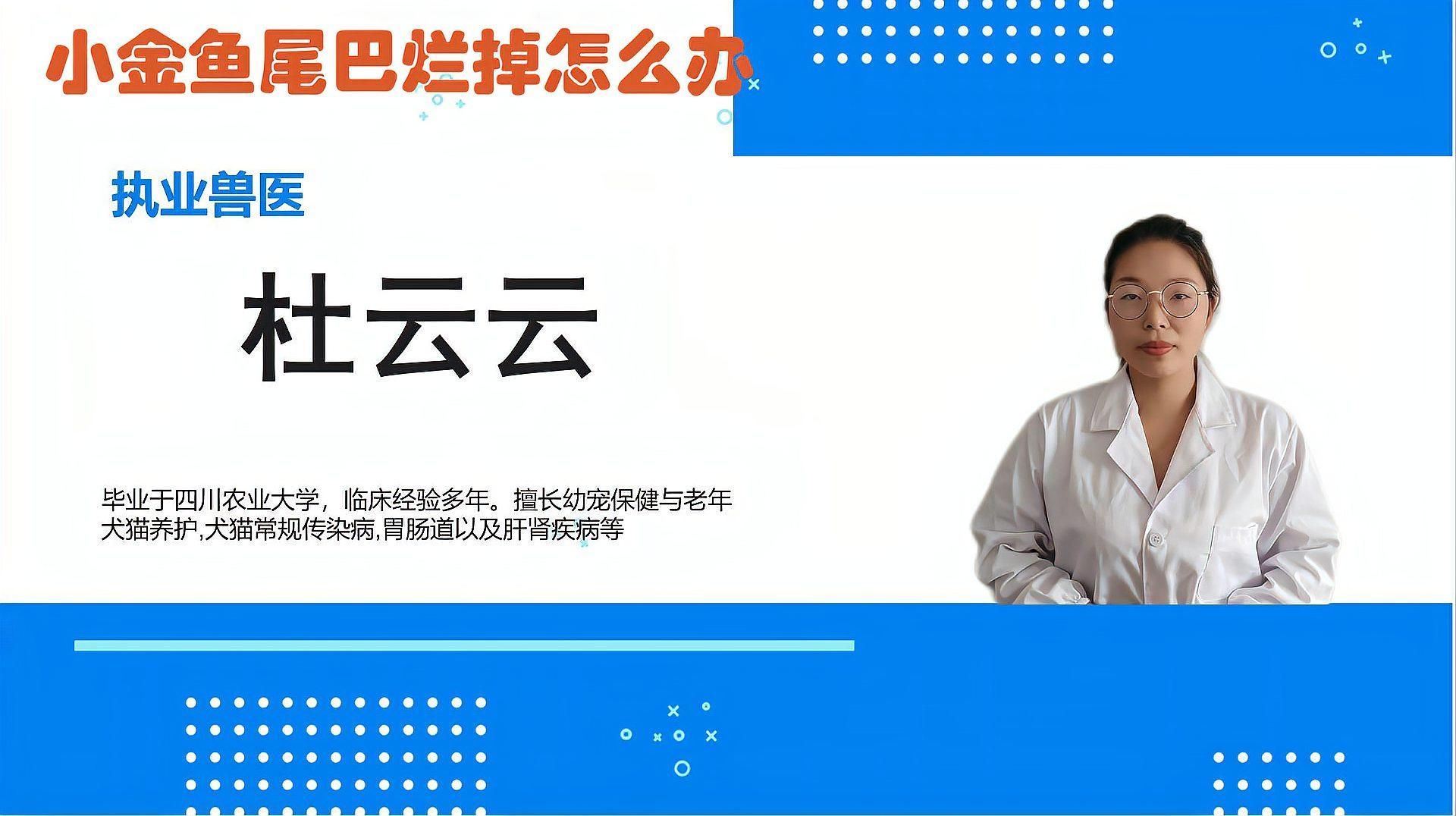 金魚尾巴爛了如何治療最有效，金魚尾巴爛了怎么辦