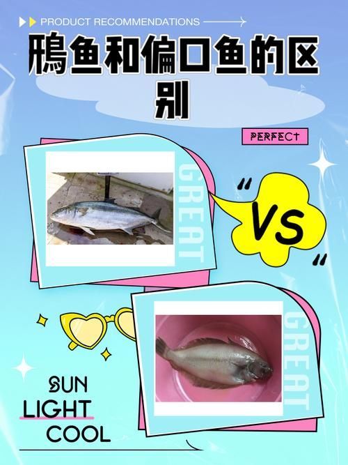 如何判斷魚類是否停止進食，arxiv論文助手 如何判斷魚類是否停止進食，arxiv論文助手 龍魚百科 第1張