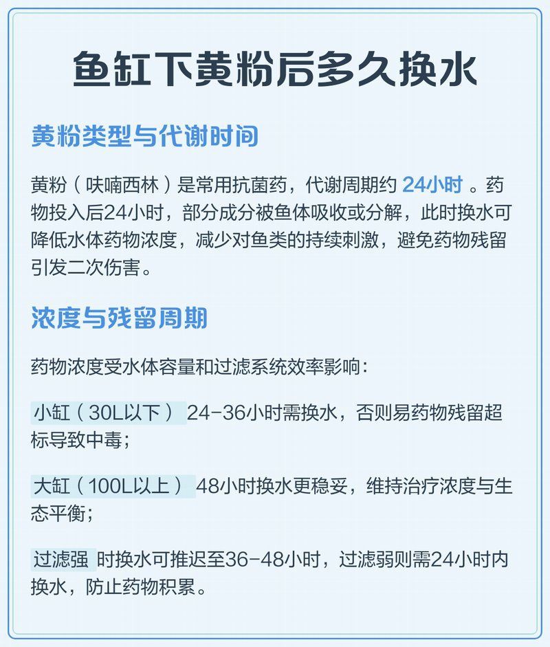 黃粉使用期間需要換水嗎，魚缸下黃粉后多久換水 黃粉使用期間需要換水嗎，魚缸下黃粉后多久換水 龍魚百科 第1張