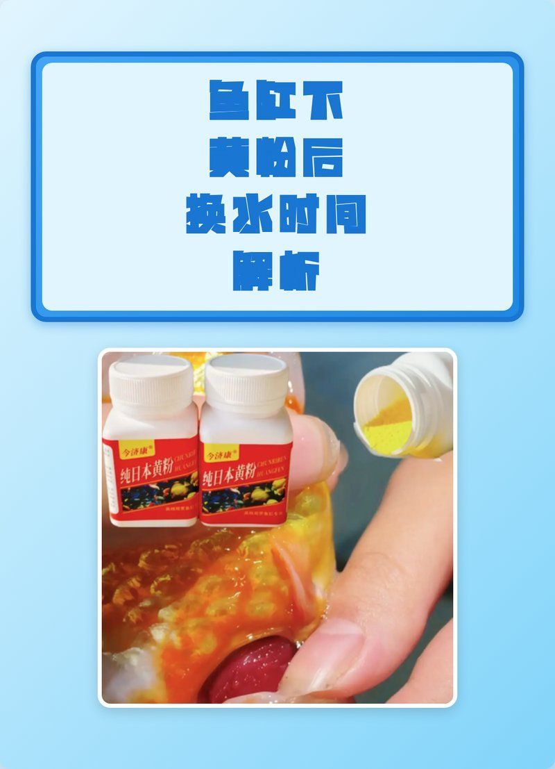 黃粉使用期間需要換水嗎，魚缸下黃粉后多久換水 黃粉使用期間需要換水嗎，魚缸下黃粉后多久換水 龍魚百科 第2張