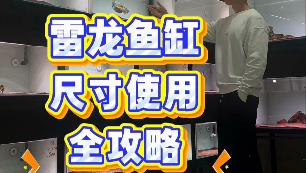 巴卡雷龍魚需要多大的魚缸？，巴卡雷龍一個月能長多大 巴卡雷龍魚需要多大的魚缸？，巴卡雷龍一個月能長多大 龍魚百科 第2張