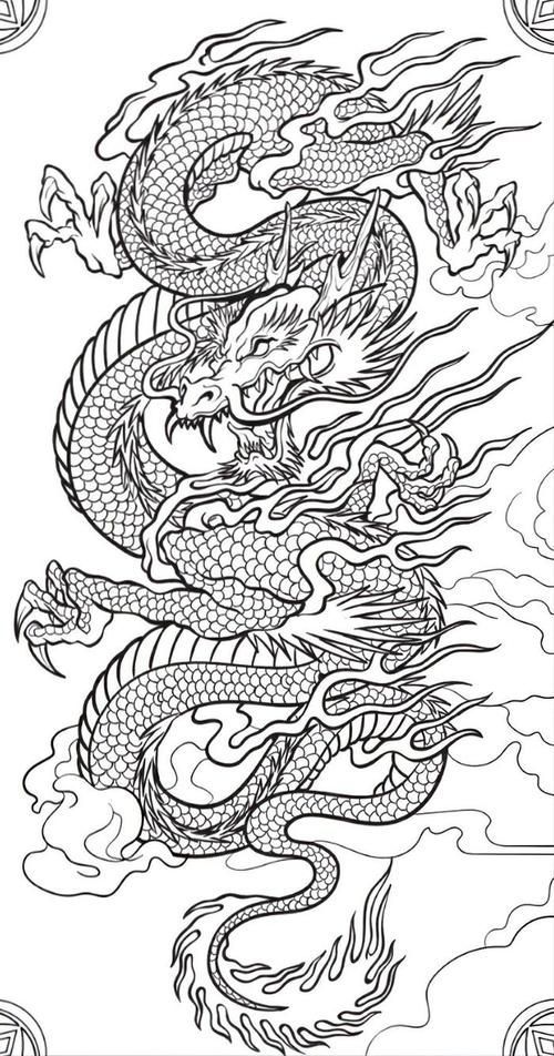 能否提供紅龍設計的線稿圖，手繪紅龍設計的線稿圖可以嗎？ 能否提供紅龍設計的線稿圖，手繪紅龍設計的線稿圖可以嗎？ 龍魚百科 第2張