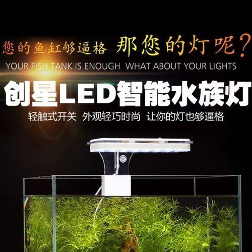 LED水族燈有哪些智能功能？，led水族燈的主要智能led水族燈的主要功能 LED水族燈有哪些智能功能？，led水族燈的主要智能led水族燈的主要功能 龍魚百科 第2張