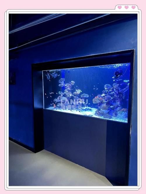 LED水族燈有哪些智能功能？，led水族燈的主要智能led水族燈的主要功能 LED水族燈有哪些智能功能？，led水族燈的主要智能led水族燈的主要功能 龍魚百科 第1張