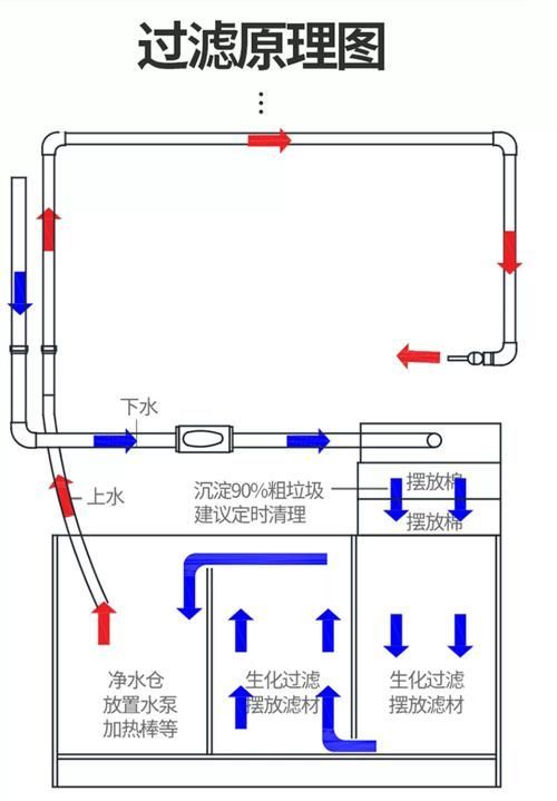 如何判斷龍魚(yú)缸的性價(jià)比？，如何判斷龍魚(yú)缸性價(jià)比